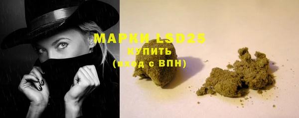 индика Пролетарск