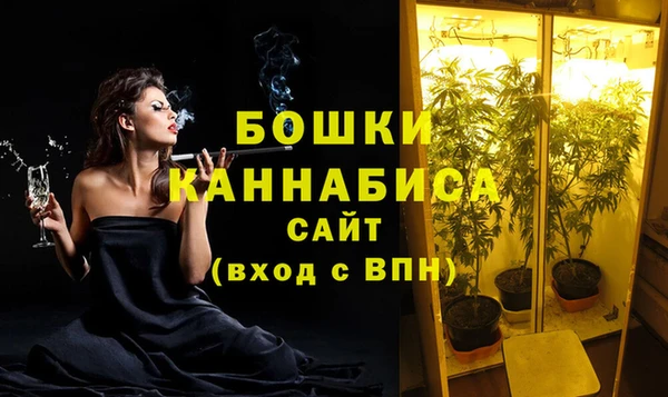 индика Пролетарск