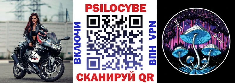 Галлюциногенные грибы Psilocybine cubensis Сухиничи